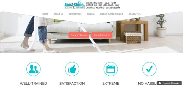 Ace & Shine Home Page via Company Website