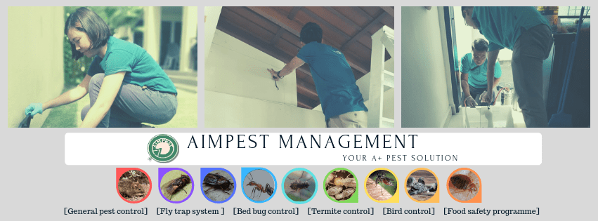 Aimpest Management's Homepage