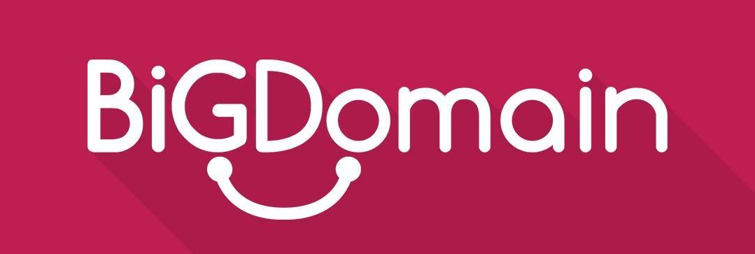 BigDomain's Logo