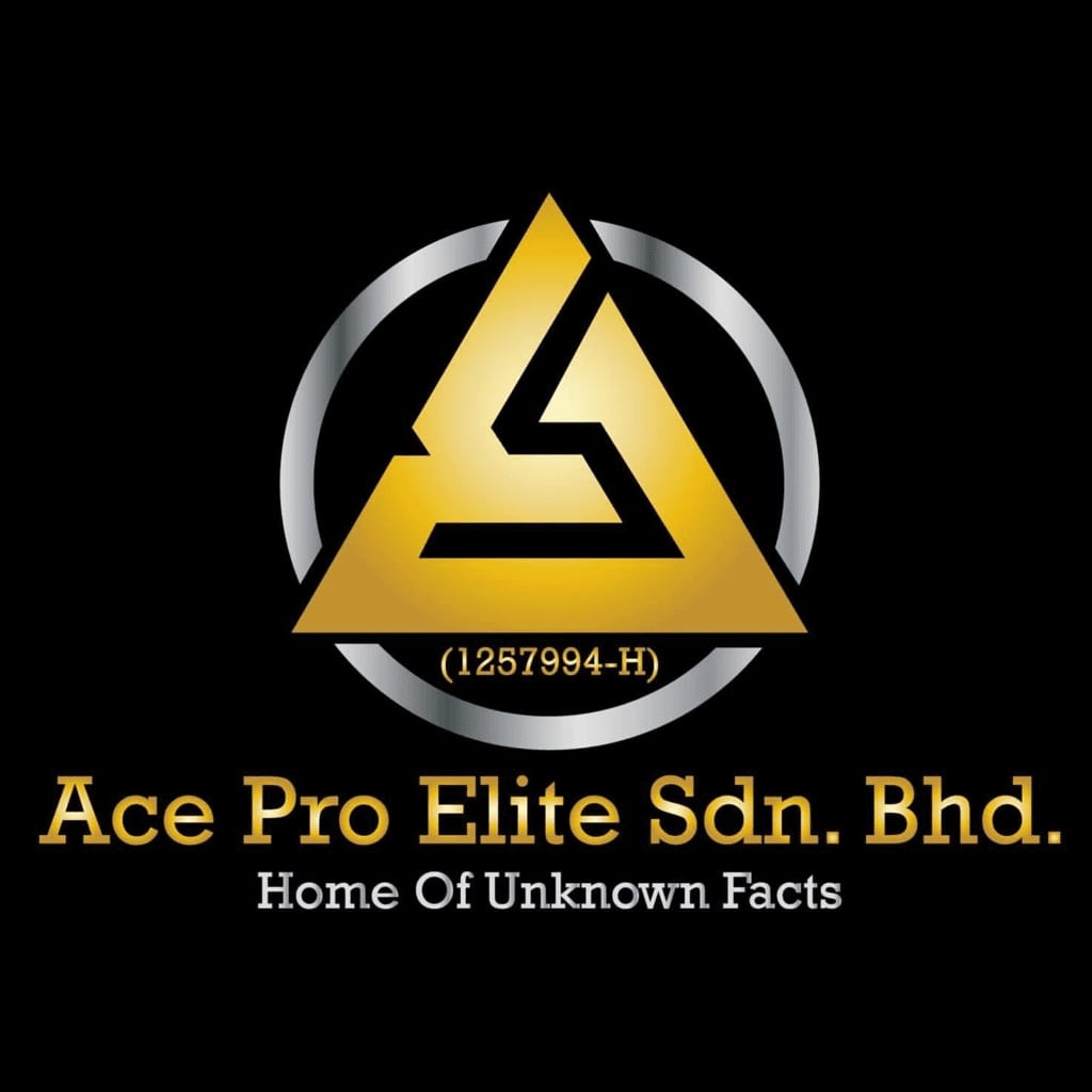 Pro Elite Group's Logo