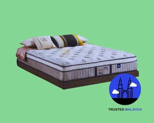 Dreamland Chiro Latex Anti-Static_Mattress_trustedmalaysia