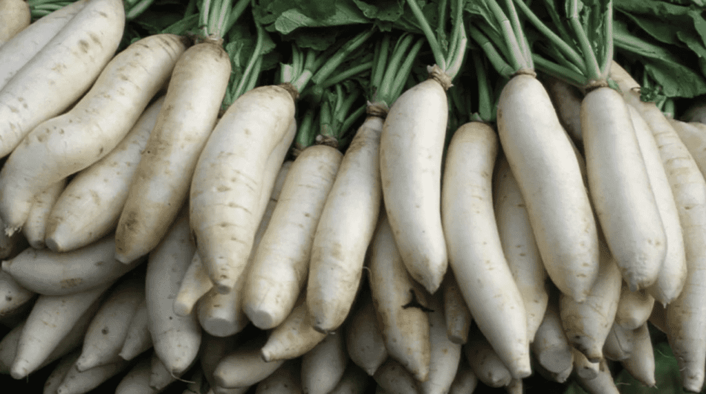 Tips for Choosing Which Vegetables to Plant