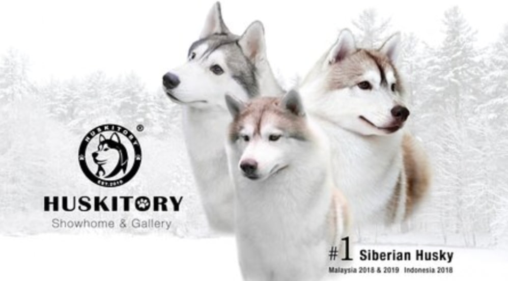 The Huskitory