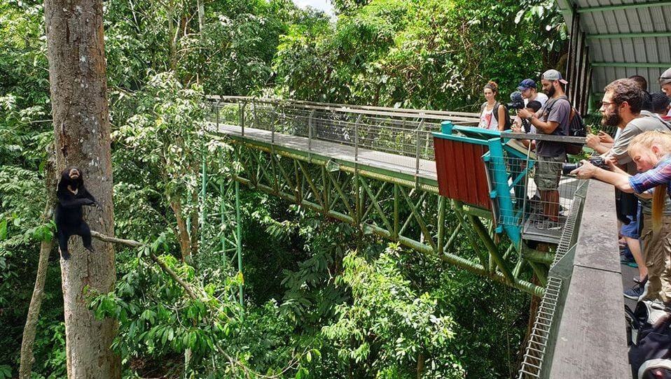 Bornean Sun Bear Conservation Centre