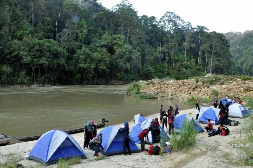 Camp Out in the Rainforest