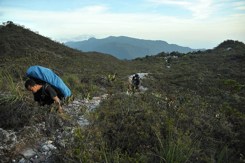 Climb Gunung Tahan