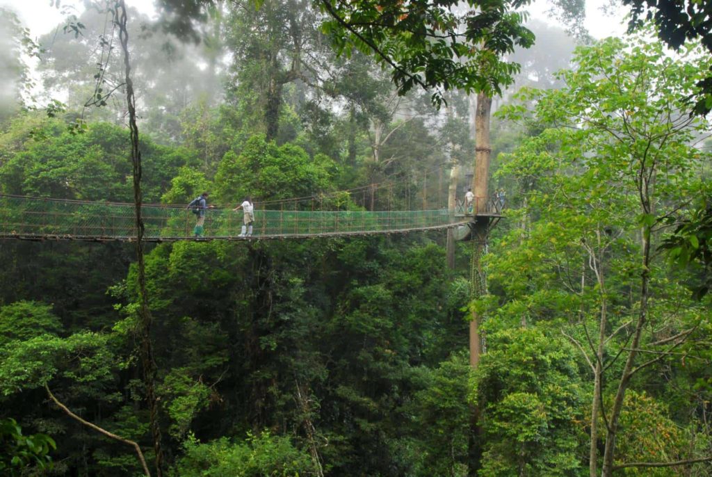 Danum Valley Conservation Area