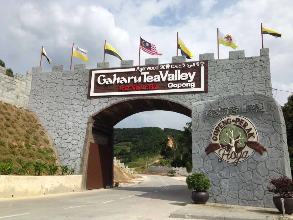 Have a drink at Gopeng's Tea Valley.