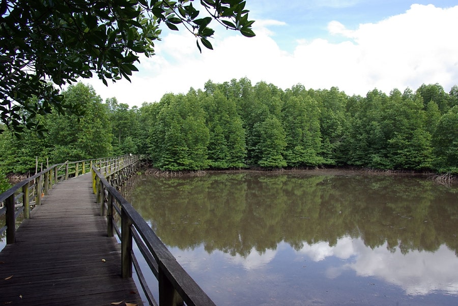 Kota Kinabalu Wetland Centre