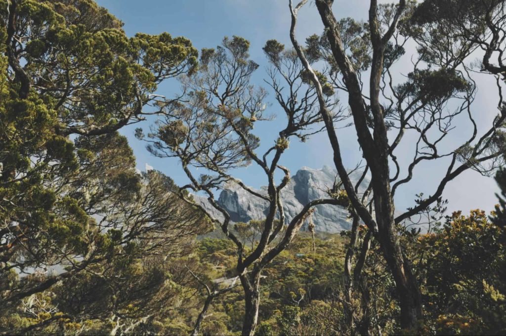 Mount Kinabalu and Kinabalu Park