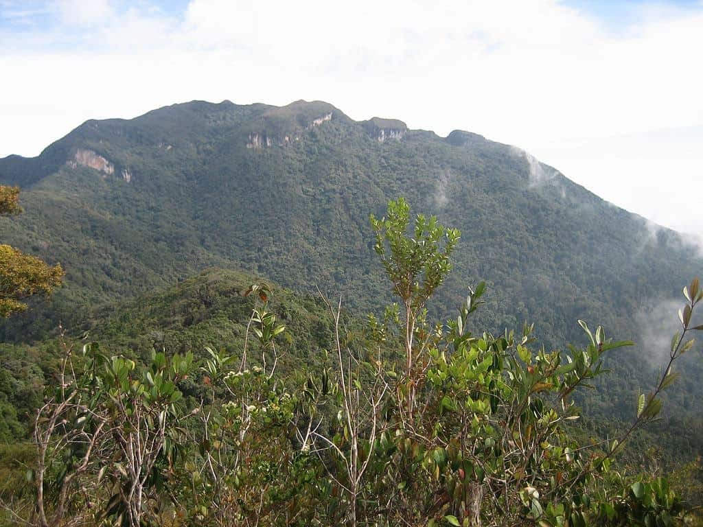 Mount Tahan