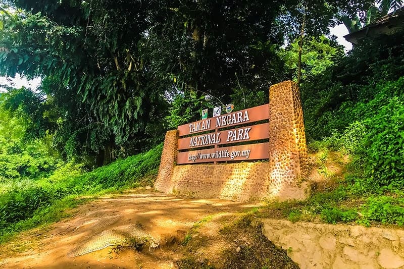 What You Need to Know About Taman Negara