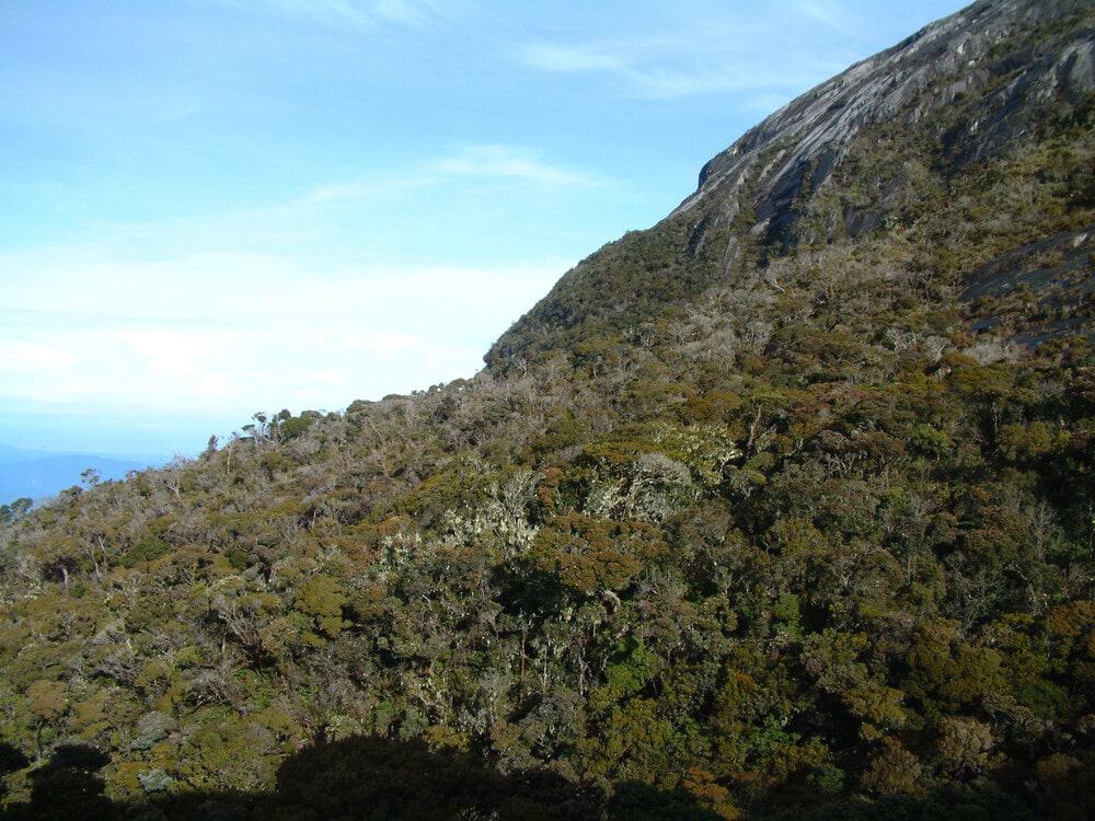 Kinabalu National Park