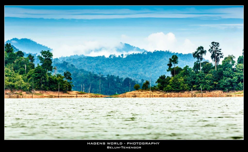 Catch and release various fish at Lake Temenggor