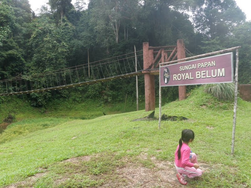 Cross the 30-metre suspension bridge of Sungai Papan Saltlick