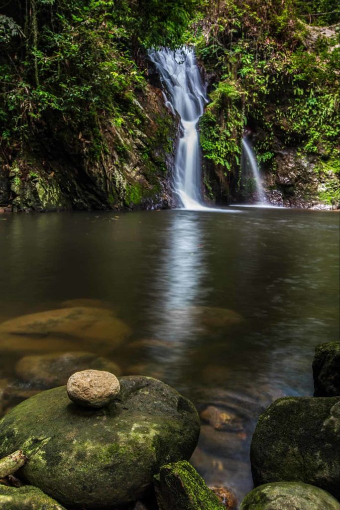 Swim with different kinds of fish at the Sungai Ruok Fish Sanctuary