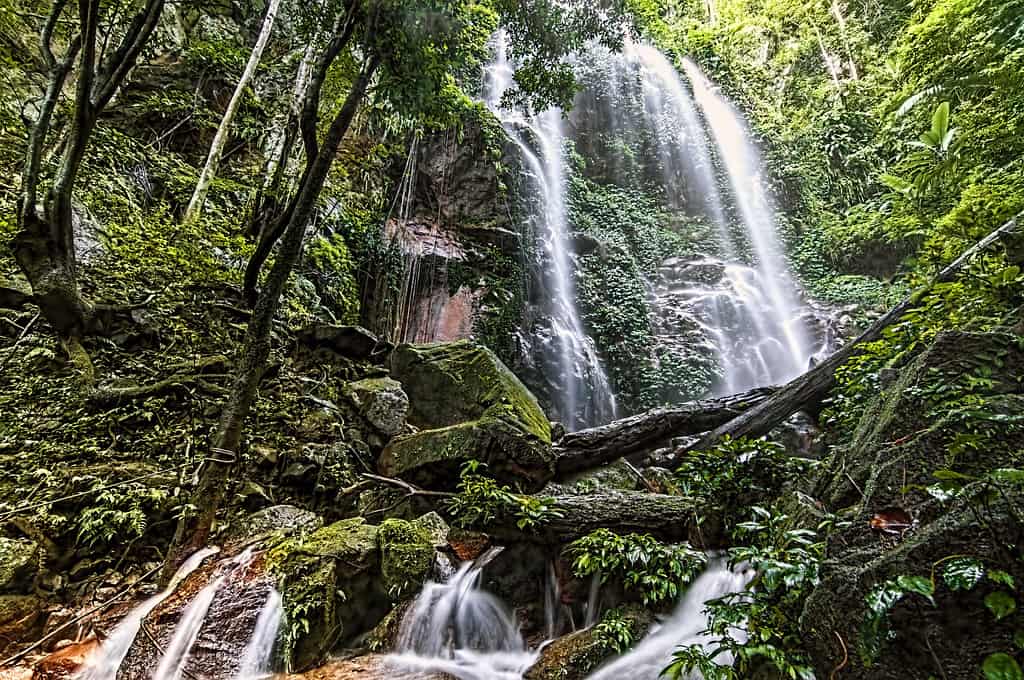 Trek to the majestic Sungai Kooi Waterfall