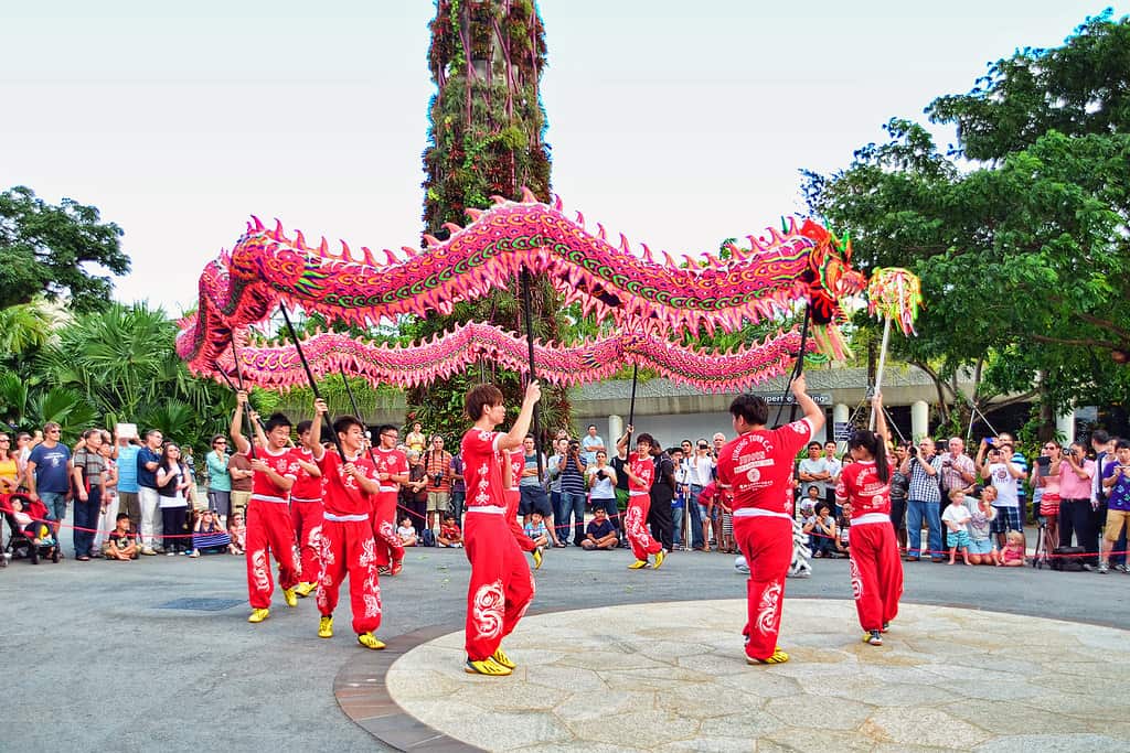 Chinese New Year image 1