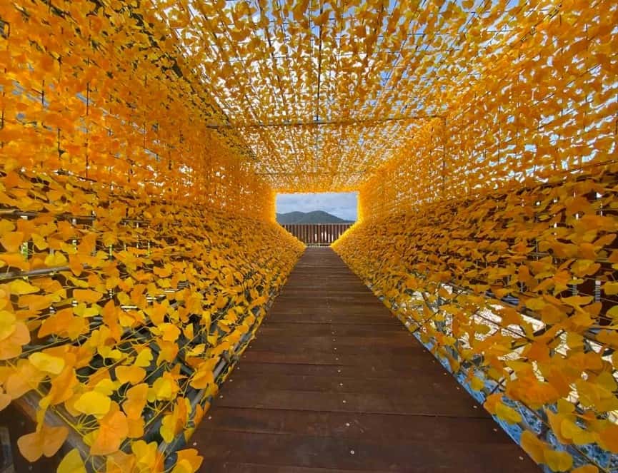 Golden Maple Bridge