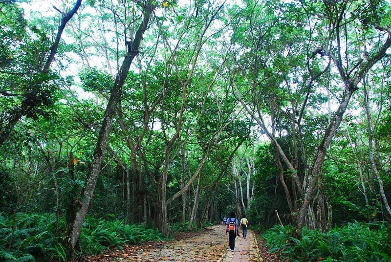 Kuala Selangor Nature Park