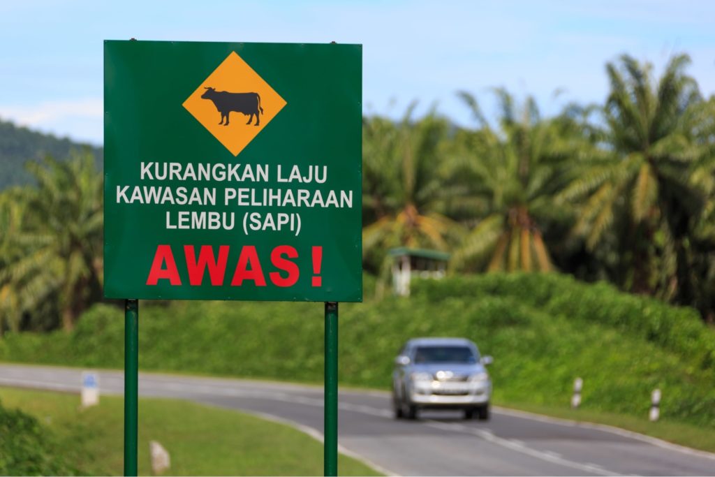 Essential Malay Vocabulary for Drivers